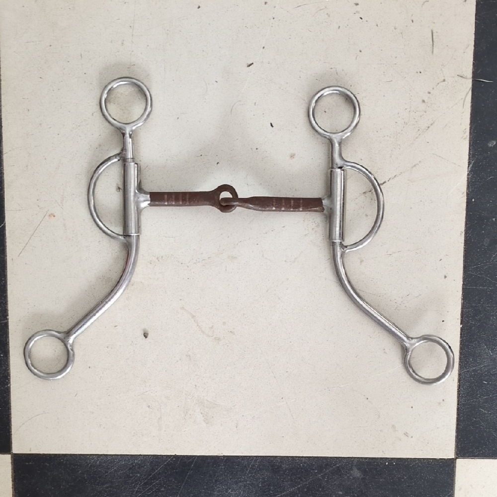 Western Sweet Iron Sweeping Shank Bit 5"